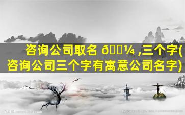 咨询公司取名 🌼 ,三个字(咨询公司三个字有寓意公司名字)